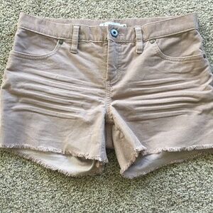 Carve Designs Oahu Shorts